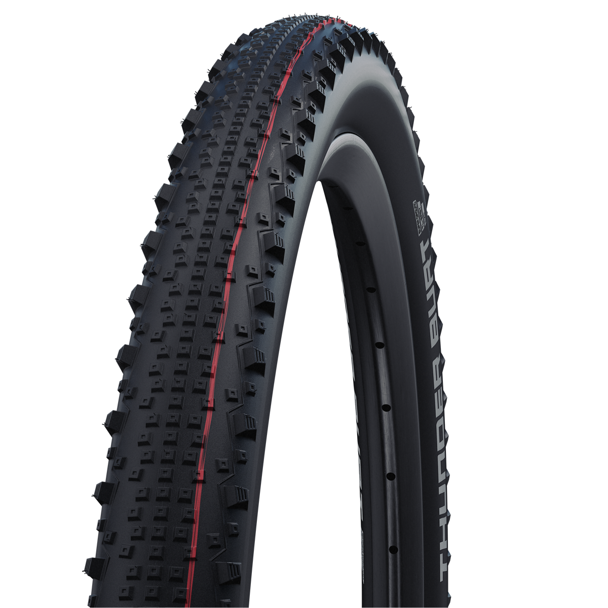 SCHWALBE Thunder Burt